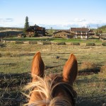 horse looking out at Big Bar Guest Ranch