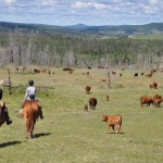 Chezacut Wilderness Adventures