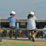 kids on fence at Sundance Guest Ranch