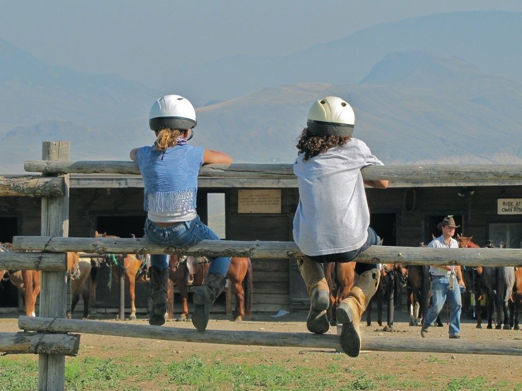 kids on fence looking at horse ranch