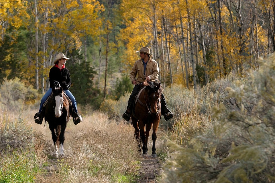 man and woman on horseback
