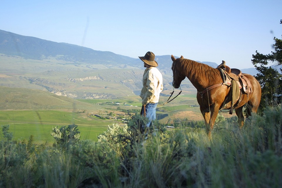 man with horse looking out at field