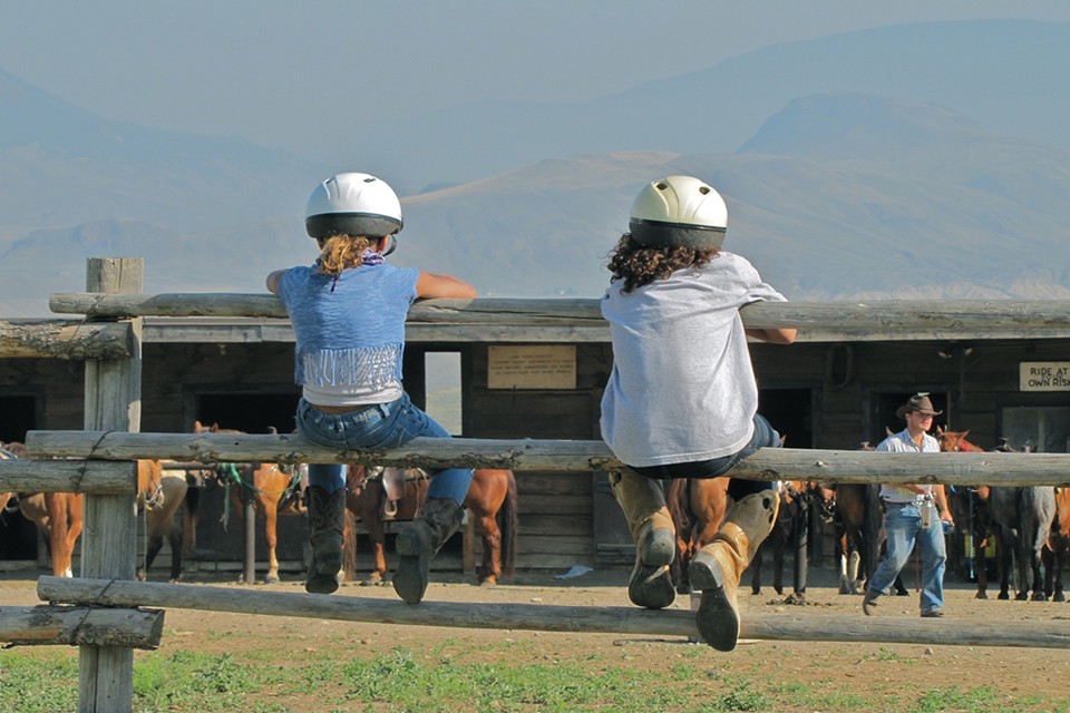 kids on fence looking at horses