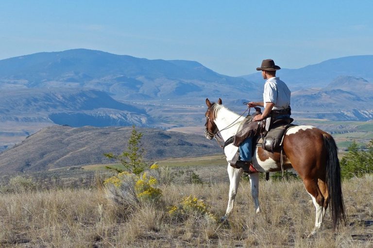 rancher on horseback overlooking mountain range