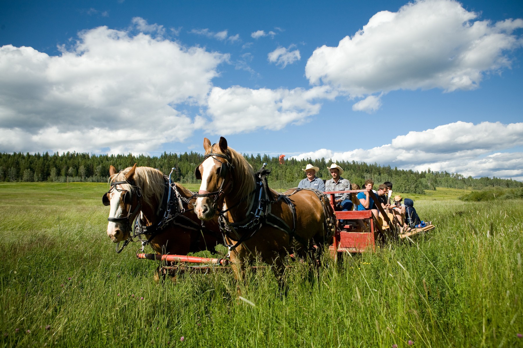guests getting horse ride at Spring Lake Ranch