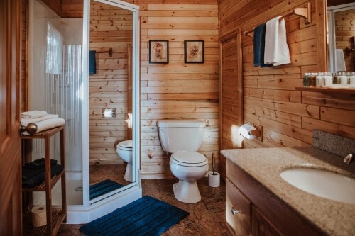 Cosy_cabin_BCL-14-min__1601588580_108.26.212.186