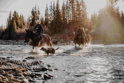 Trail_Riding_BCL-167-min (1)__1601588614_108.26.212.186