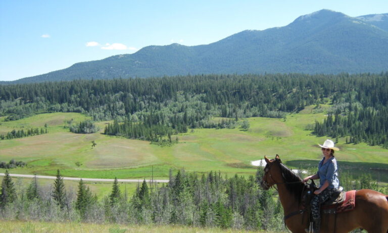 horse